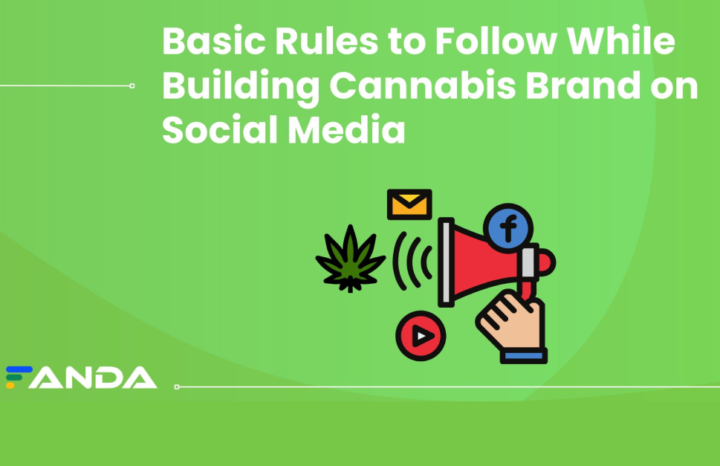 Basic Rules to Follow While Building Cannabis Brand on Social Media
